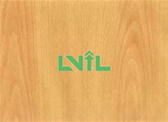 A Brief Introduction to Wood - Beech Wood