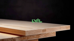 Europe will overtake Canada as a supplier of imported timber to the United States