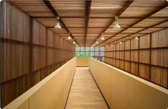 China Launches The Three Year Action of ＂Replacing Plastic with Bamboo＂