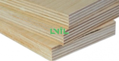 Contrarian Growth, Capture Young Consumers, Three Layers of Solid Wood Flooring into The Industry